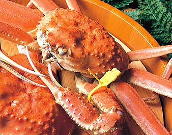 ■三国産越前蟹フルコース（昼食）